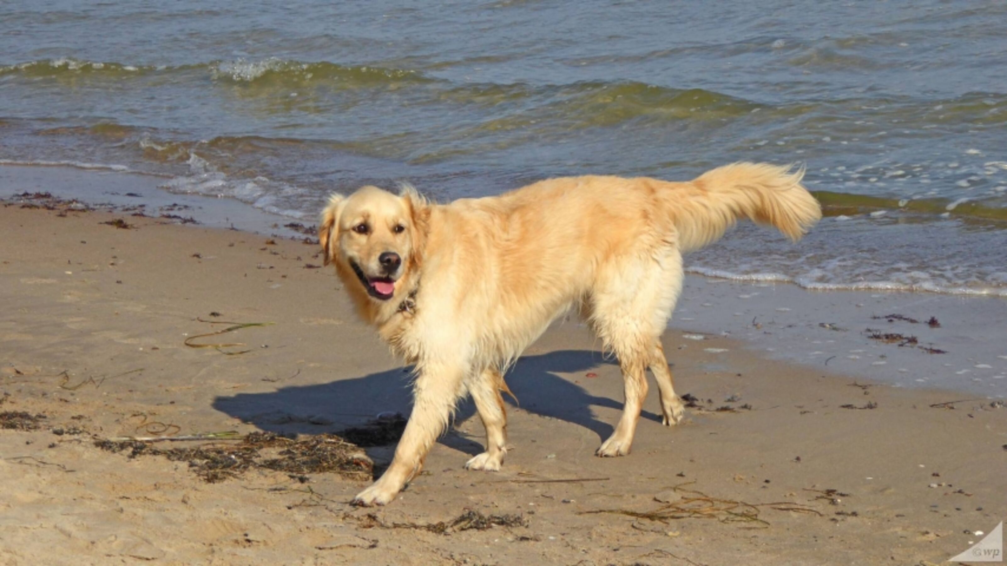 Unser Strand ist für Alle da.