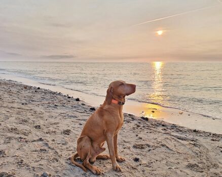 Urlaub am Strand mit der ganzen Familie