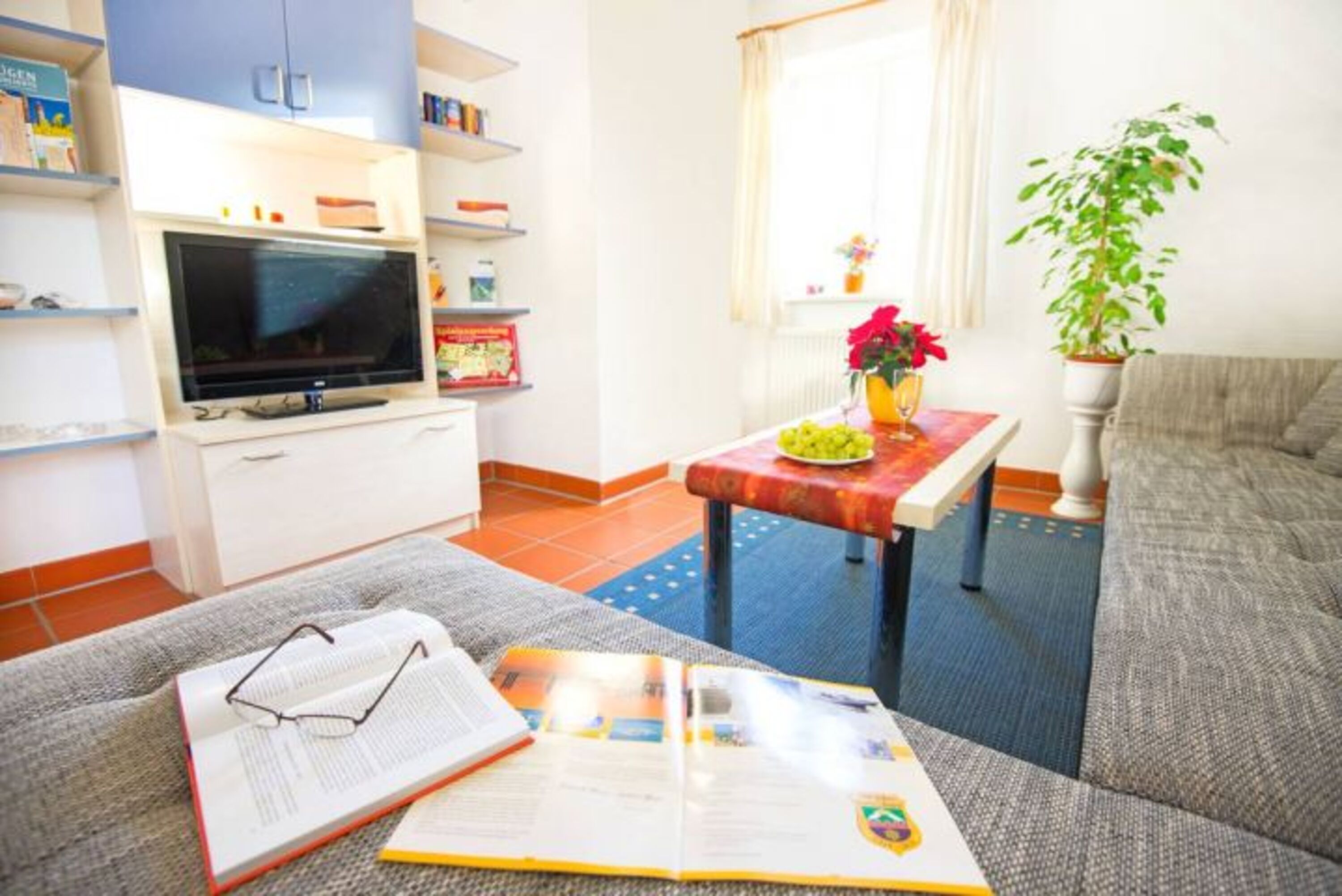 Das Wohnzimmer unserer Arkonaschwalbe.