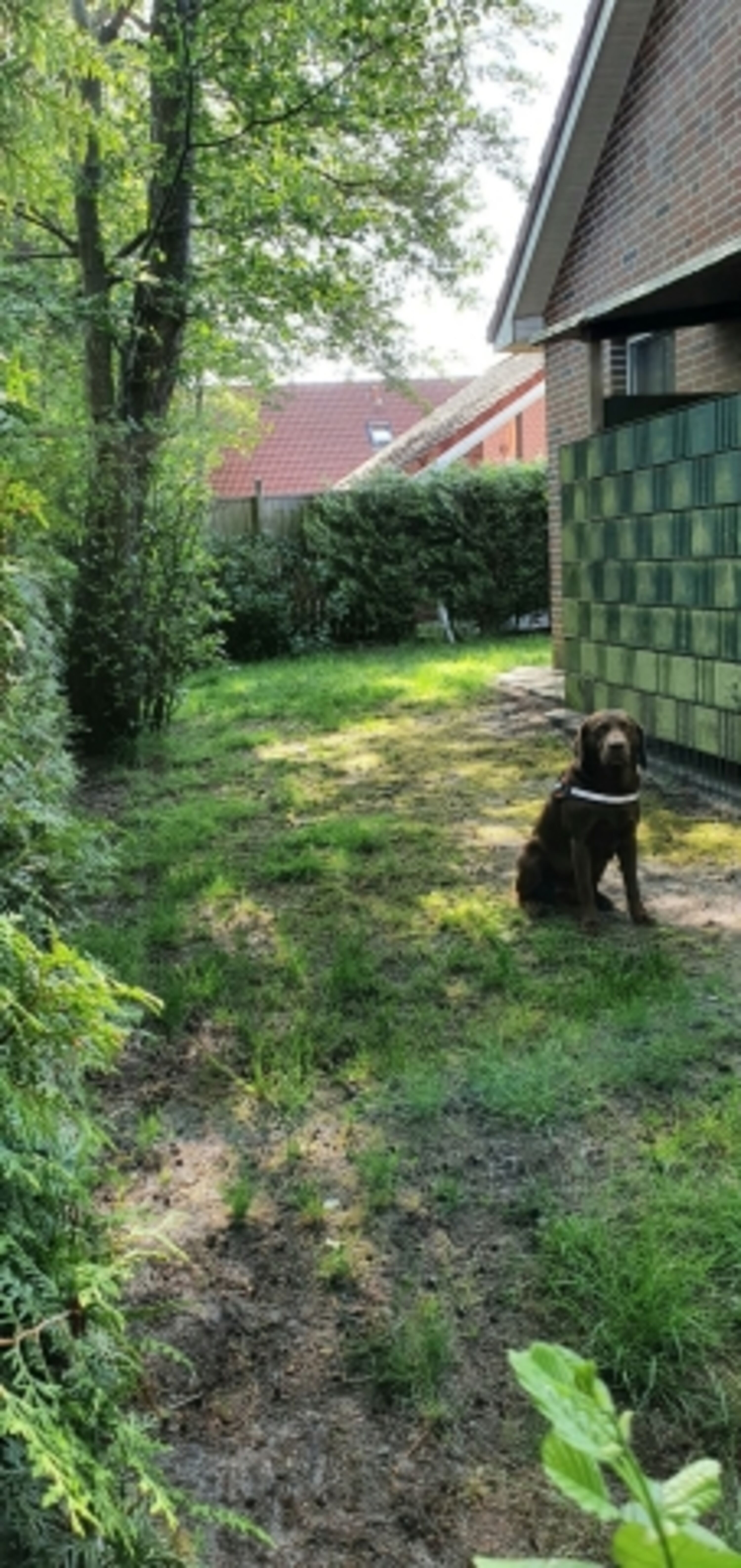 Bild 14