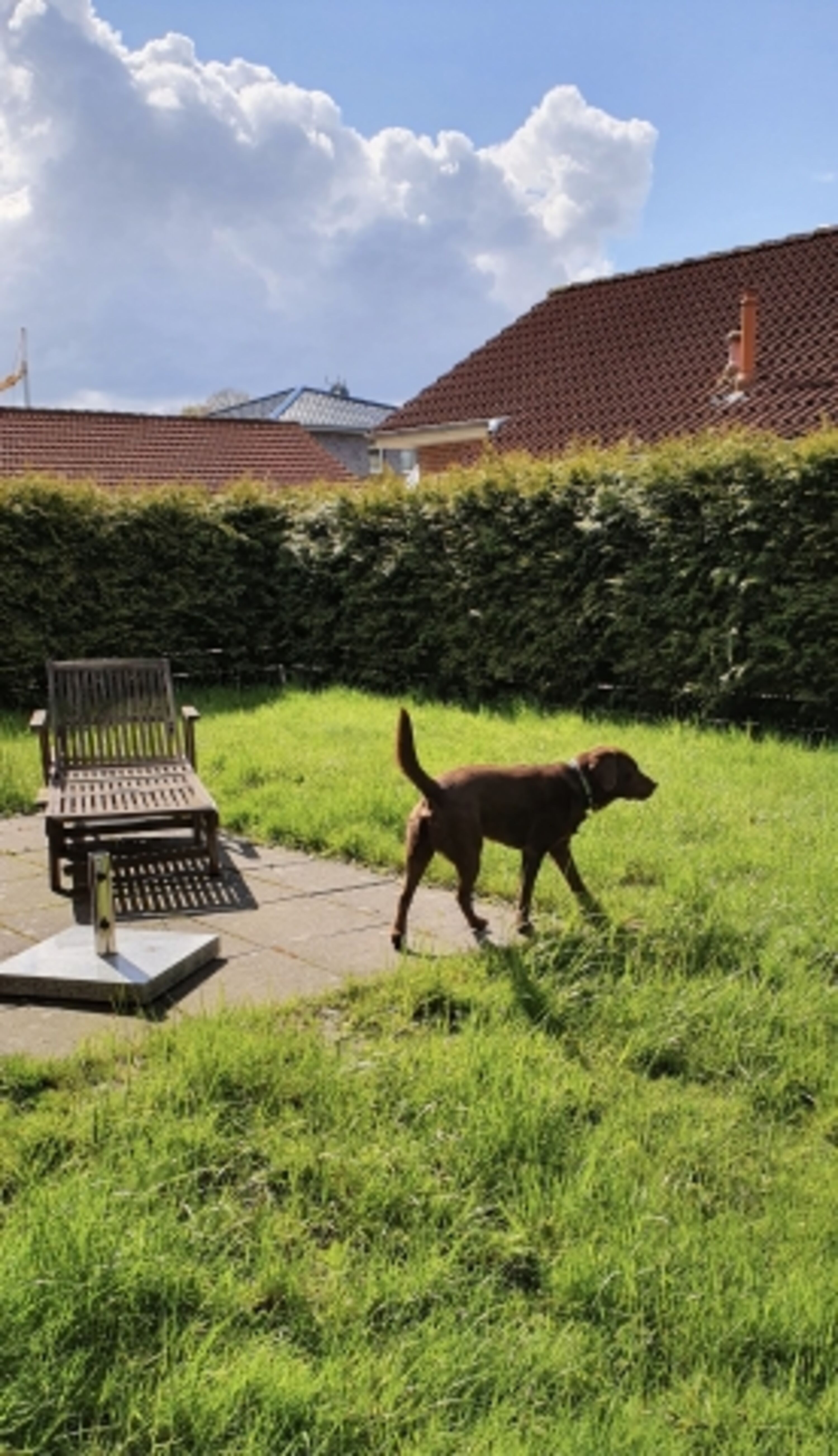 Bild 11