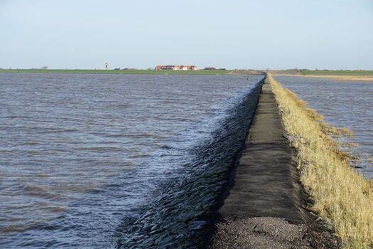 Trischendamm mit Blick auf Friedrichskoog