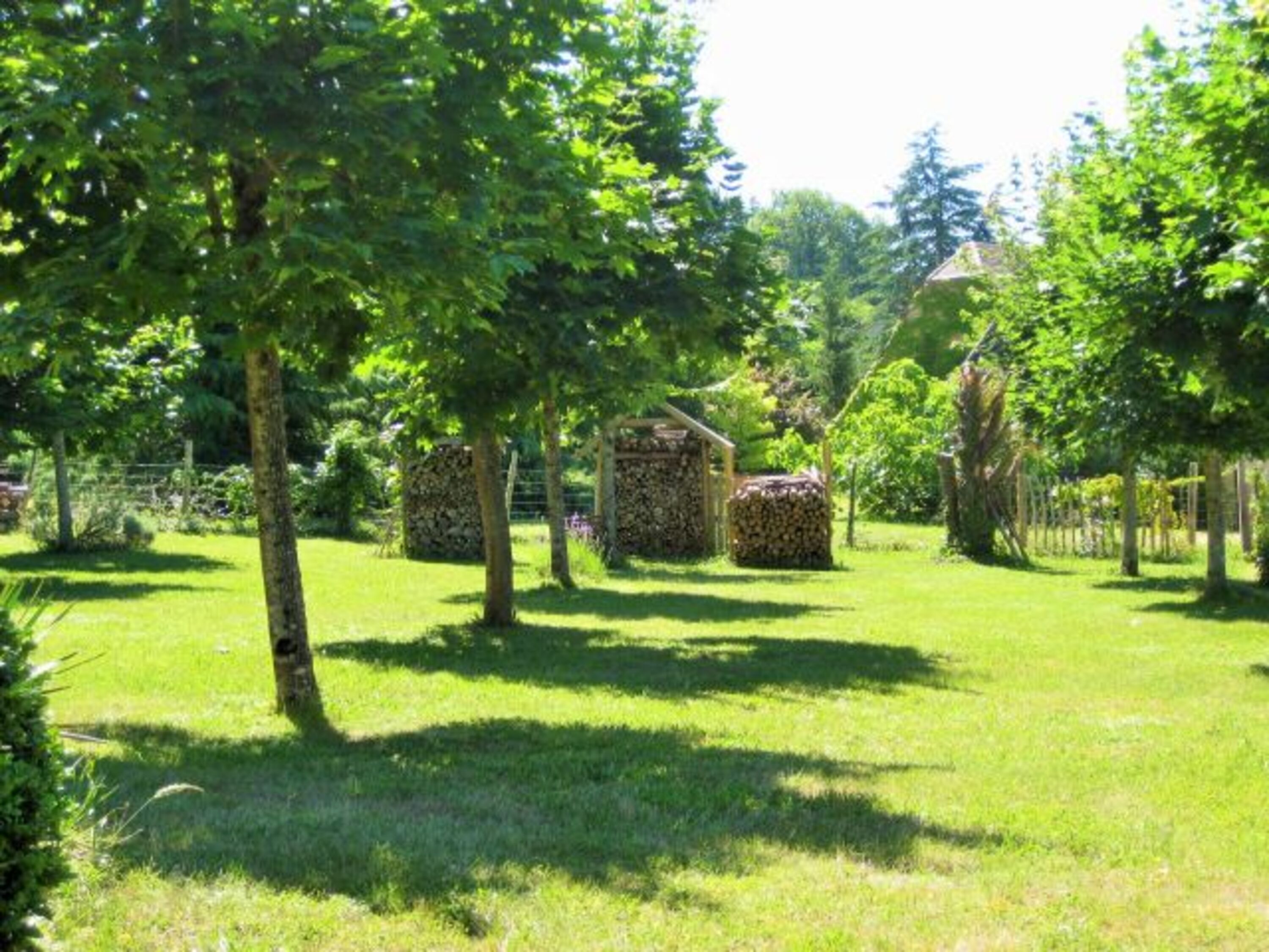 Bild 19