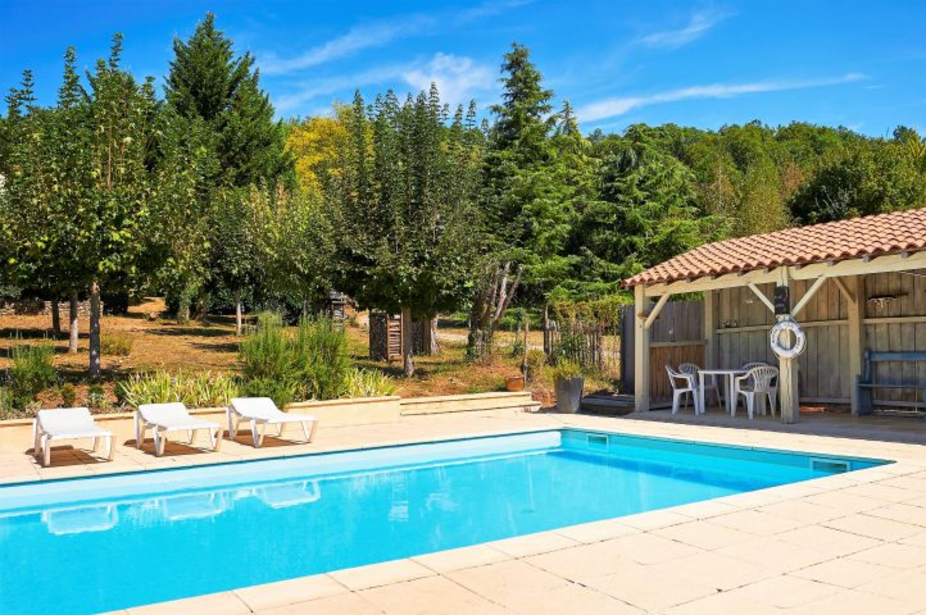Pool in garten mit pool Haus