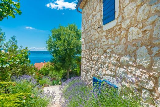 Villa Ivanka - Weg zum Garten #2