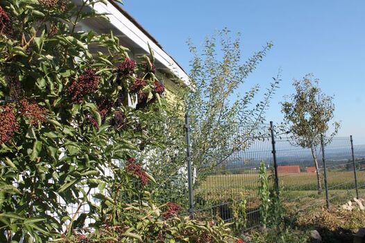 Komplett umzäunt mit 2 Meter Zaun