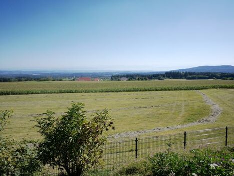 Aussicht auf den Bodensee und die Alpen