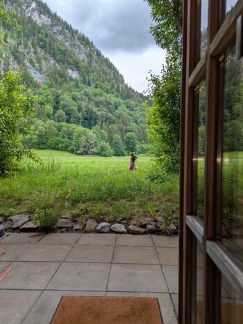 Terrasse mit Blick ins Grüne