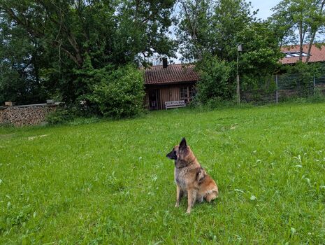 hinterm dem Haus