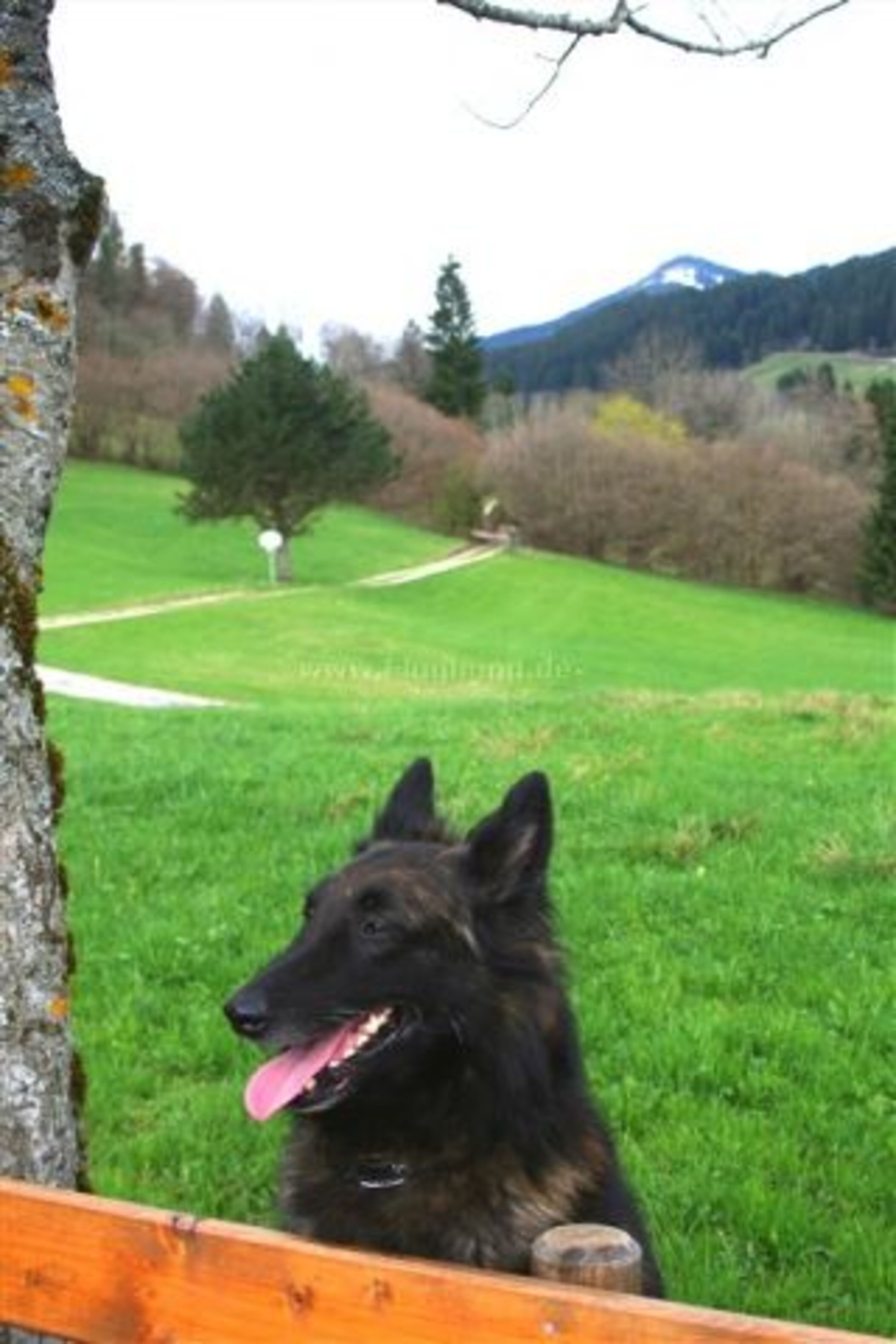 Umgebung