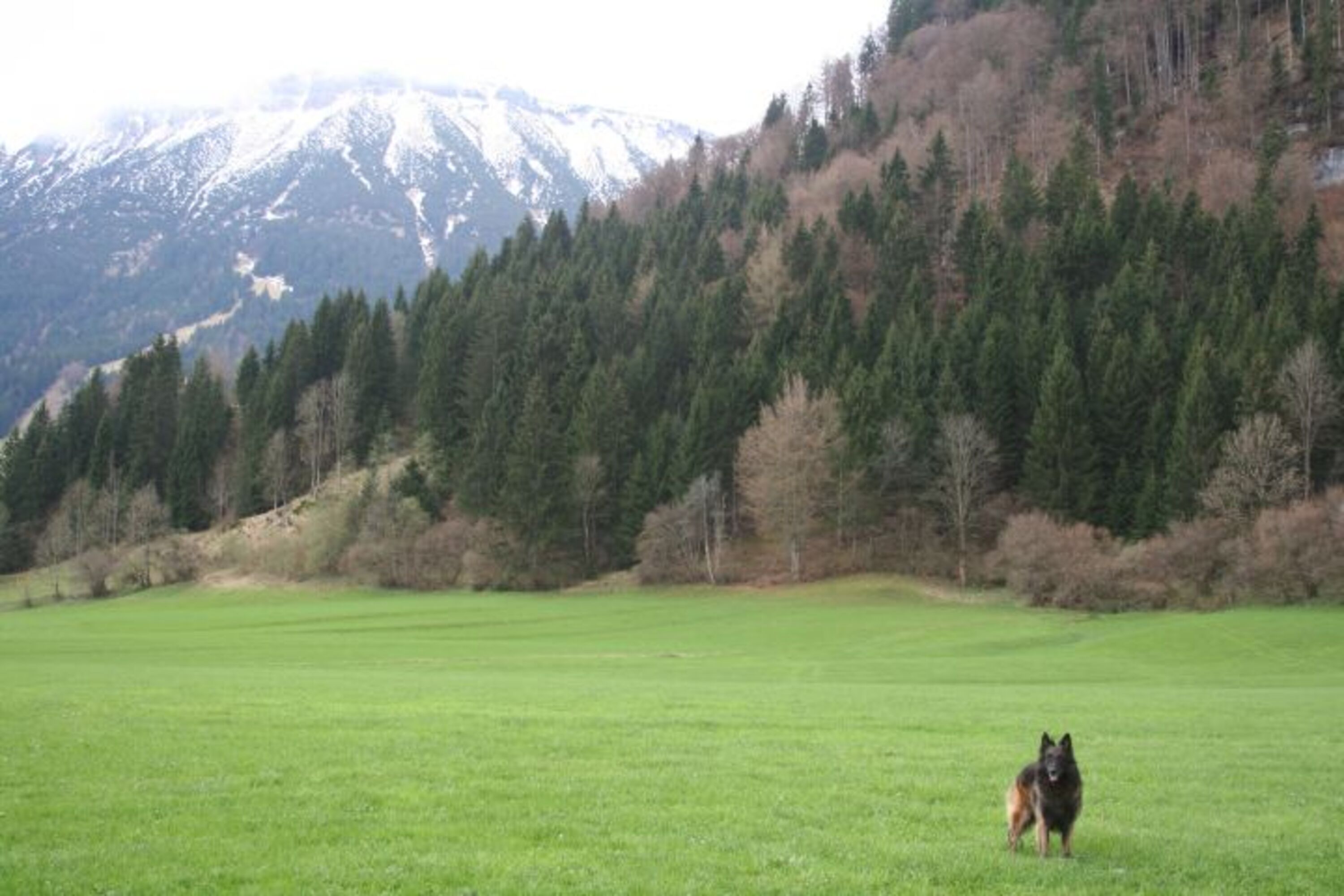 Umgebung