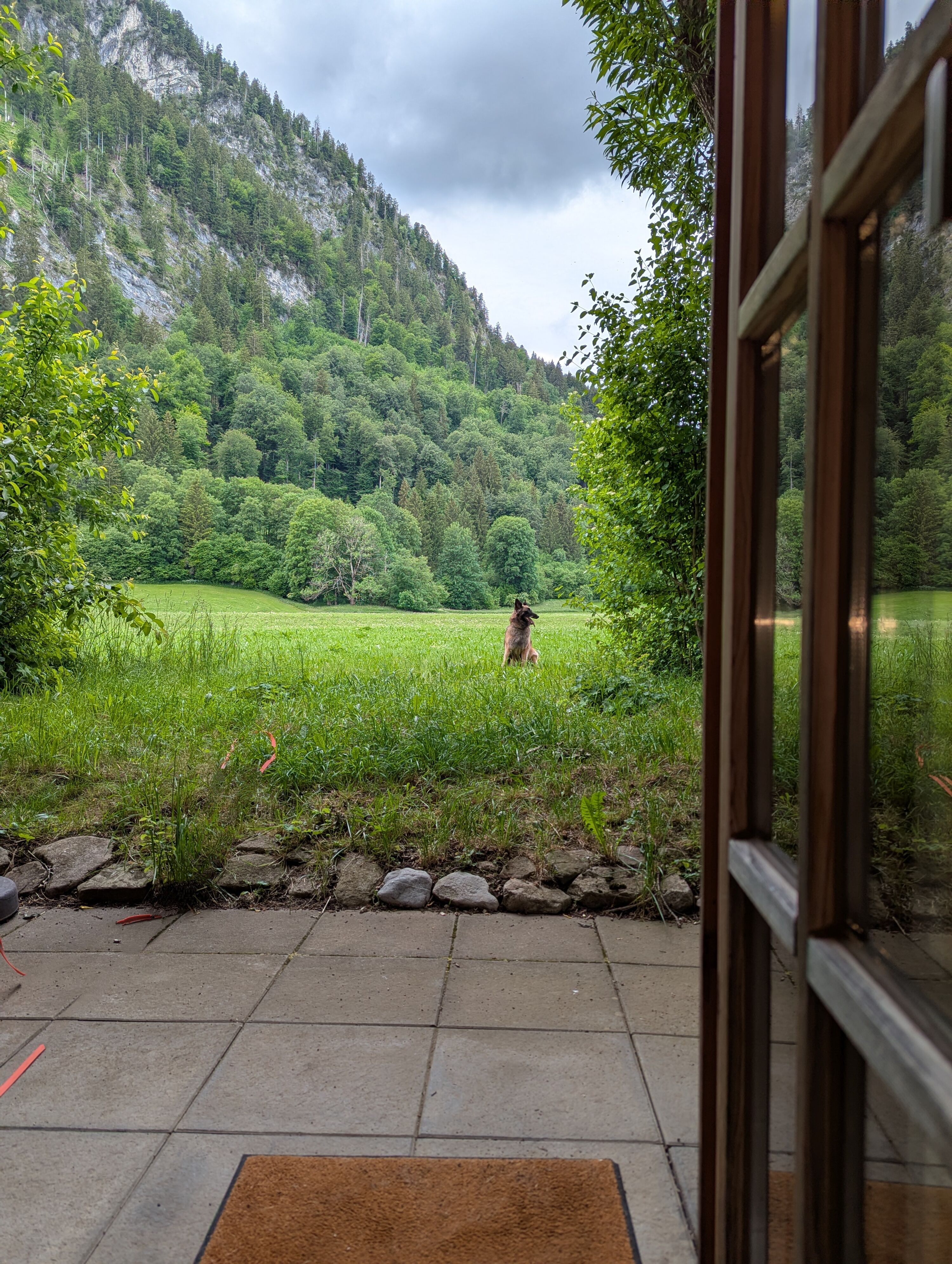 Terrasse mit Blick ins Grüne