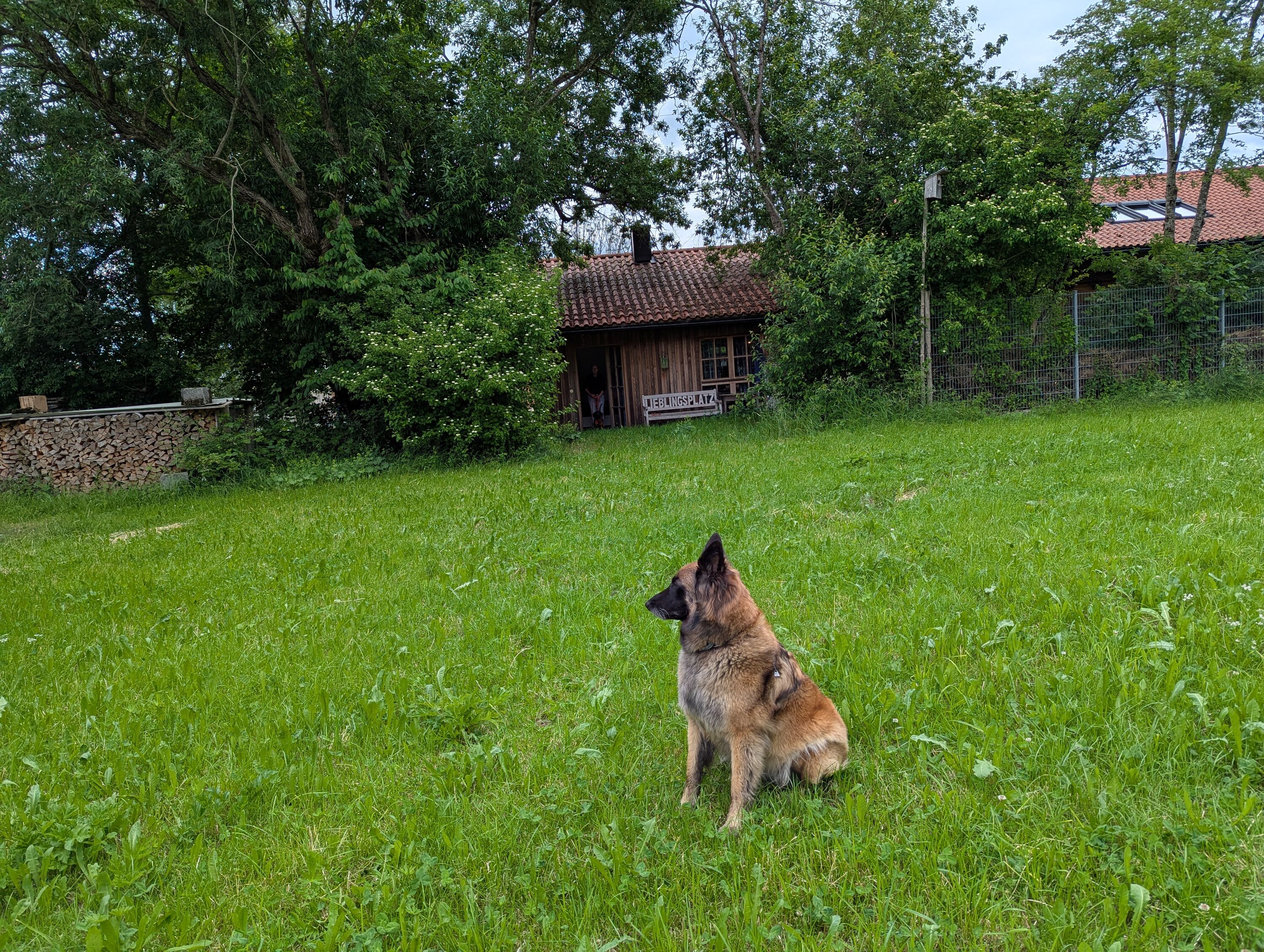 hinterm dem Haus
