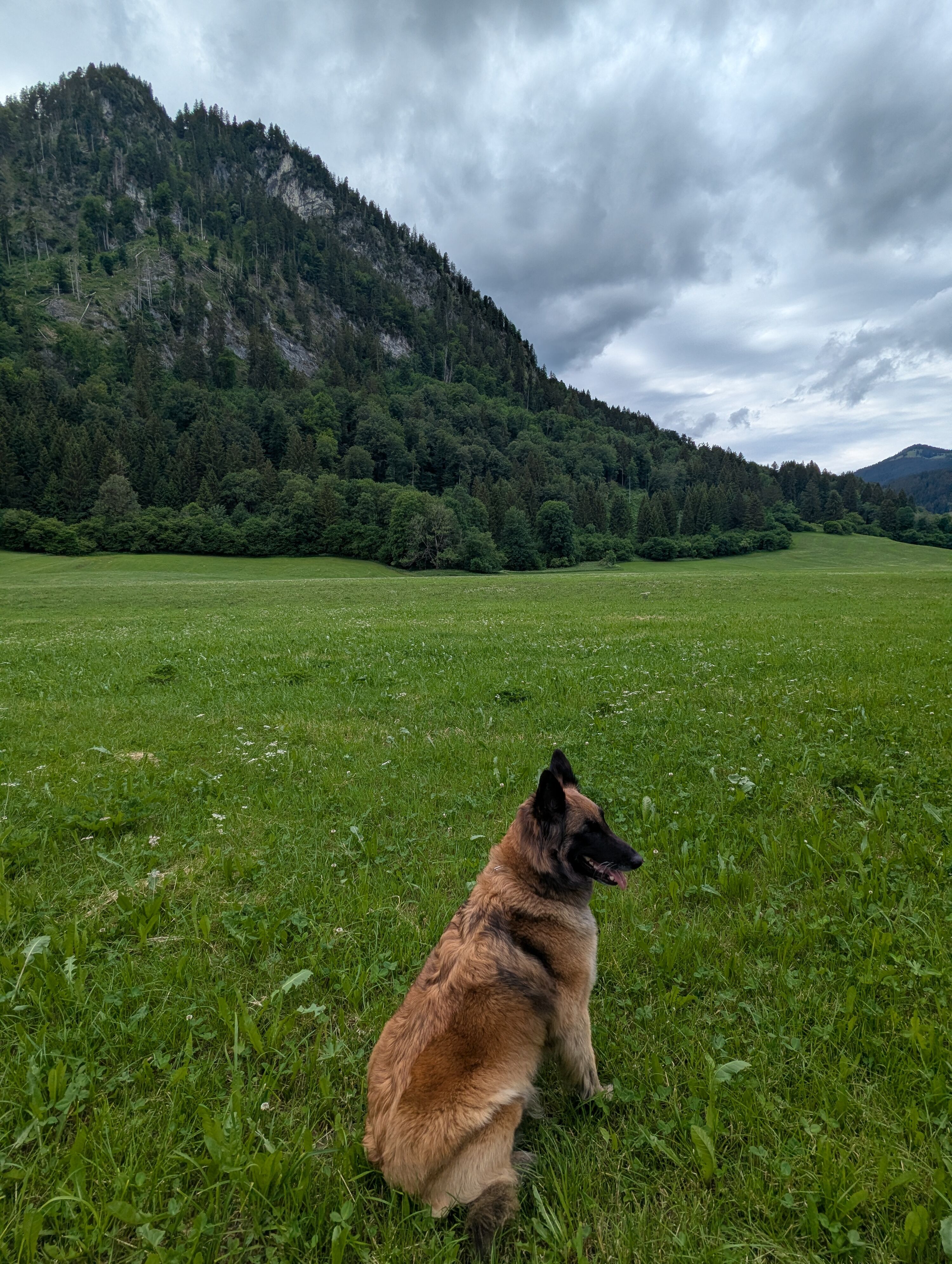 hinterm Haus