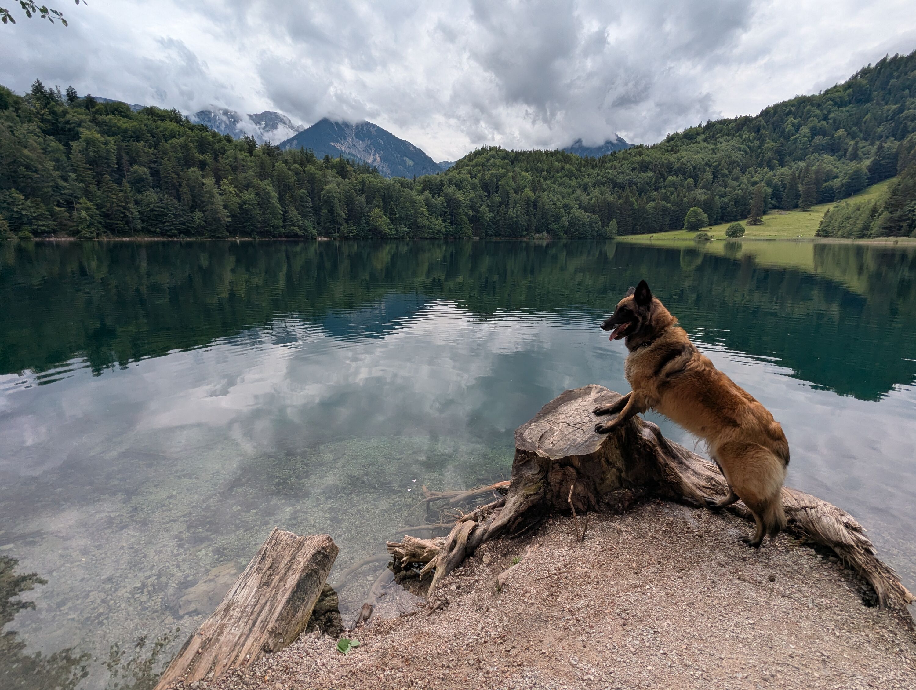 Ausflugziel Aratsee