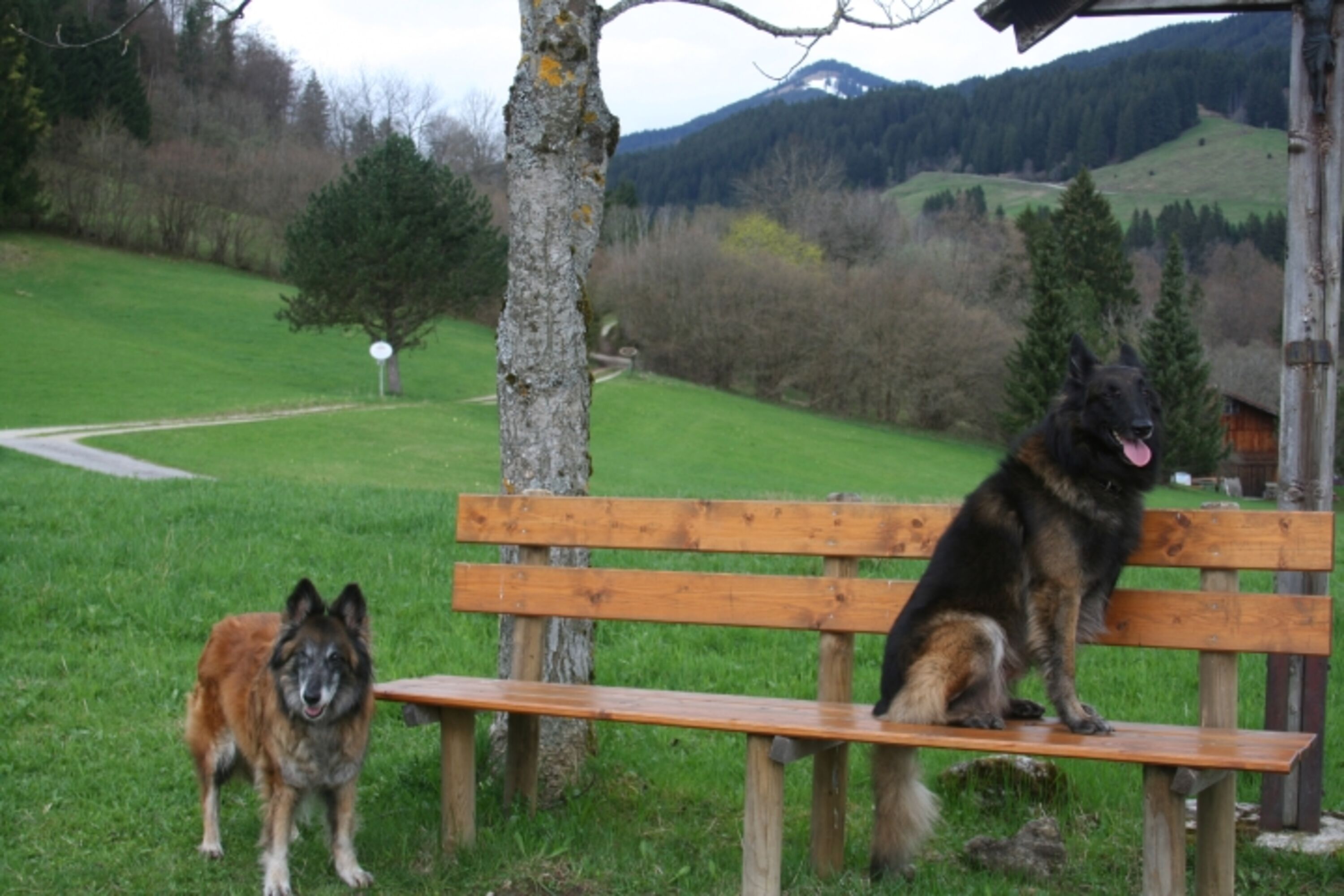 Umgebung