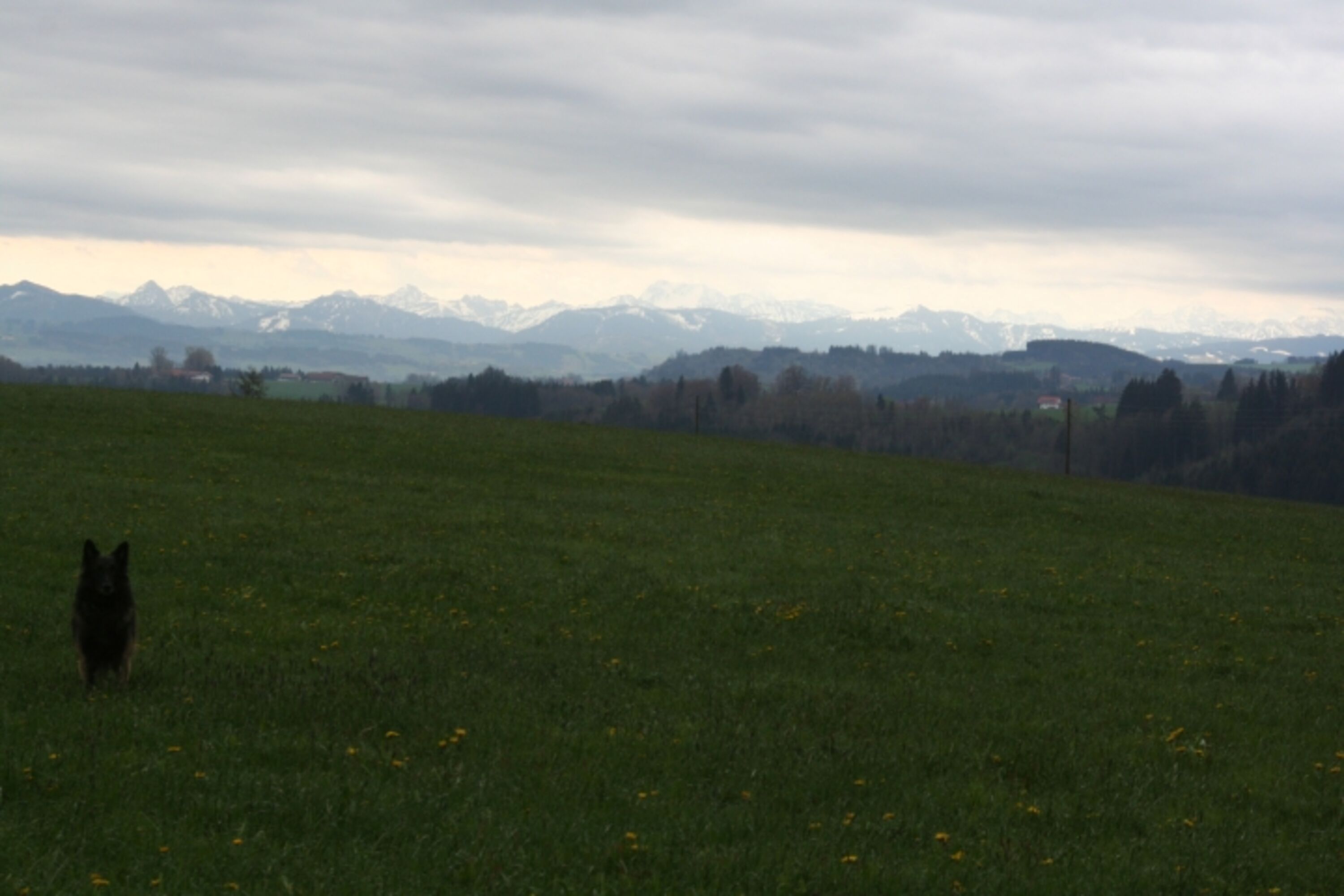 Umgebung