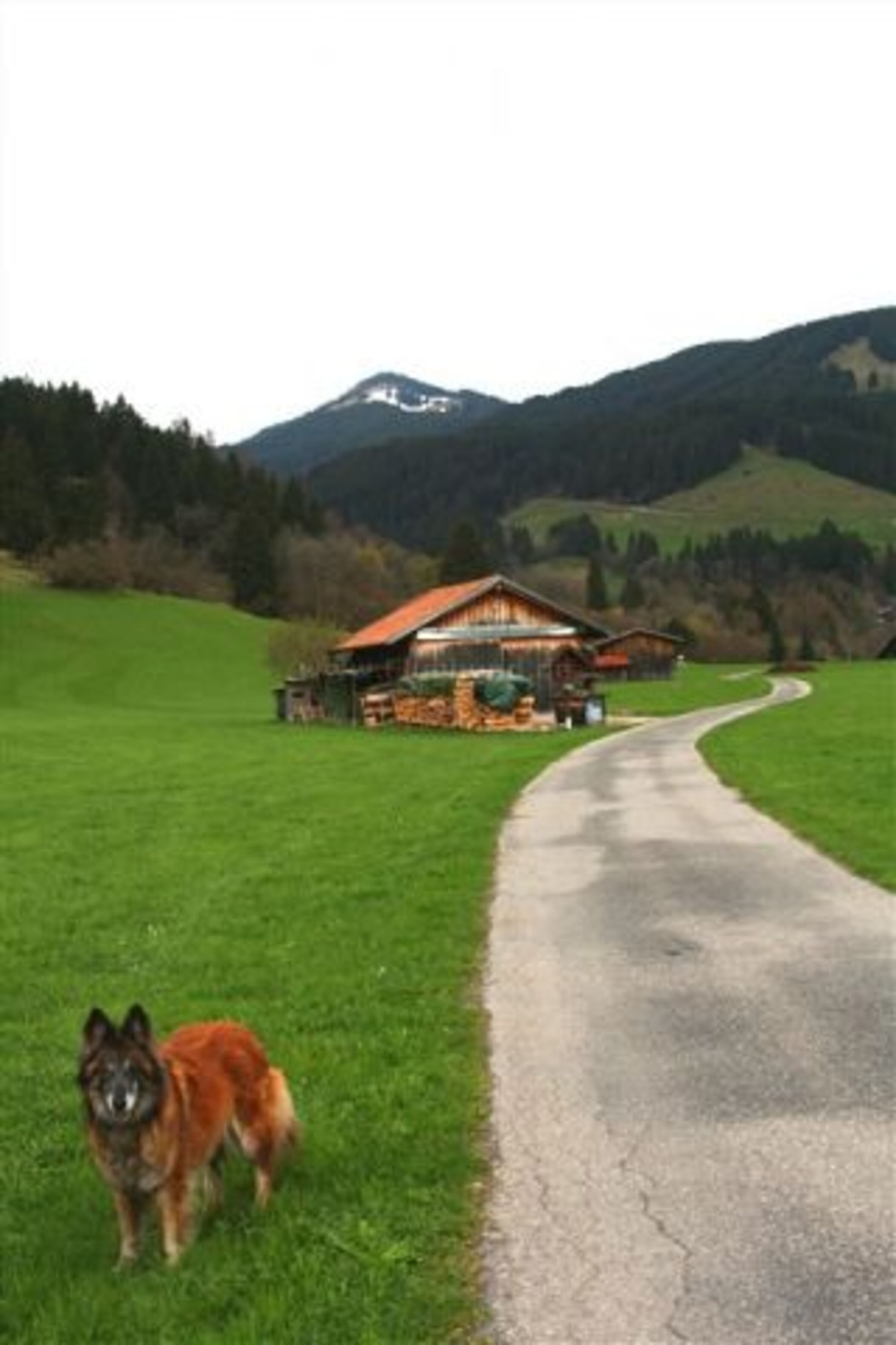 Gassiweg