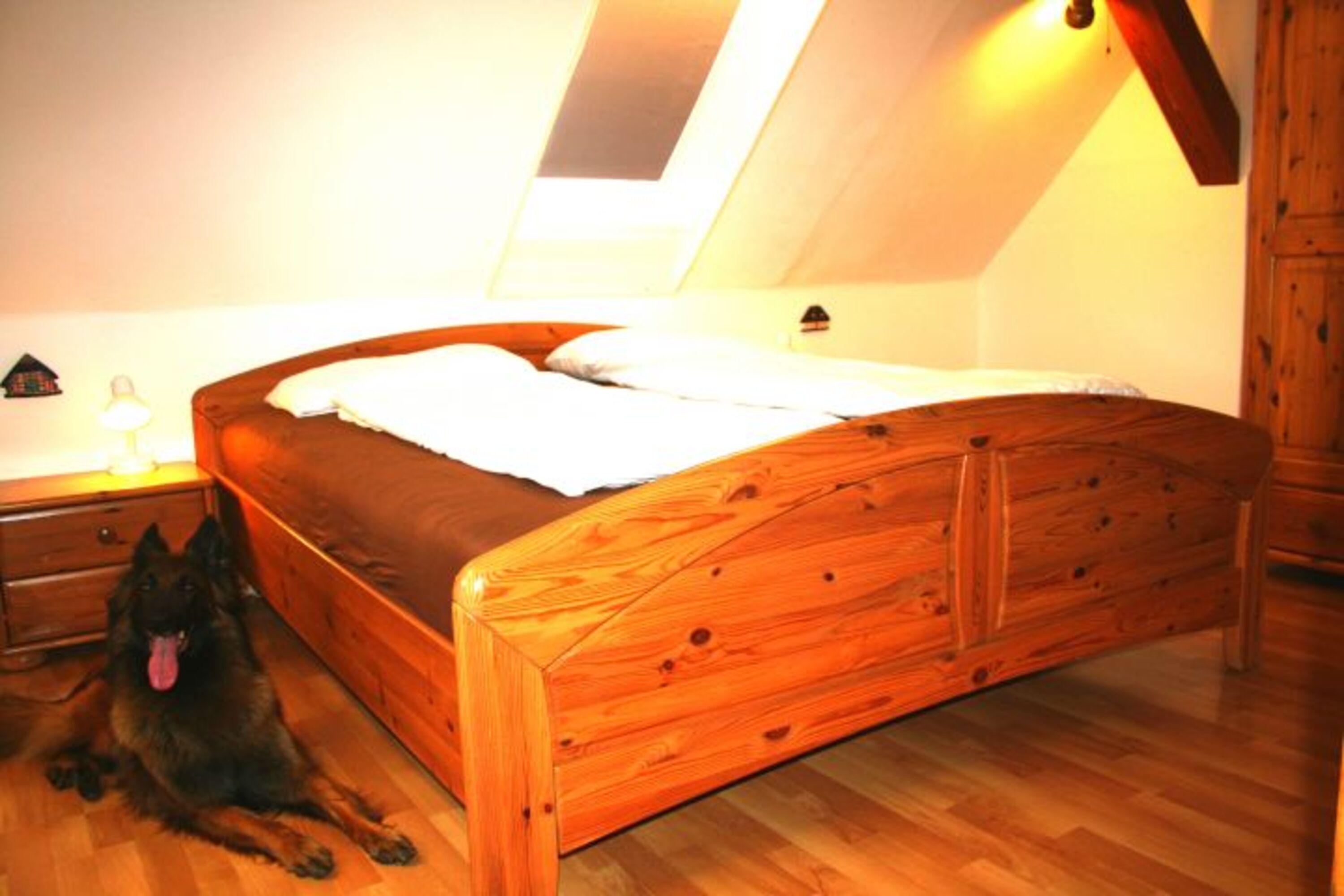 Bild 12