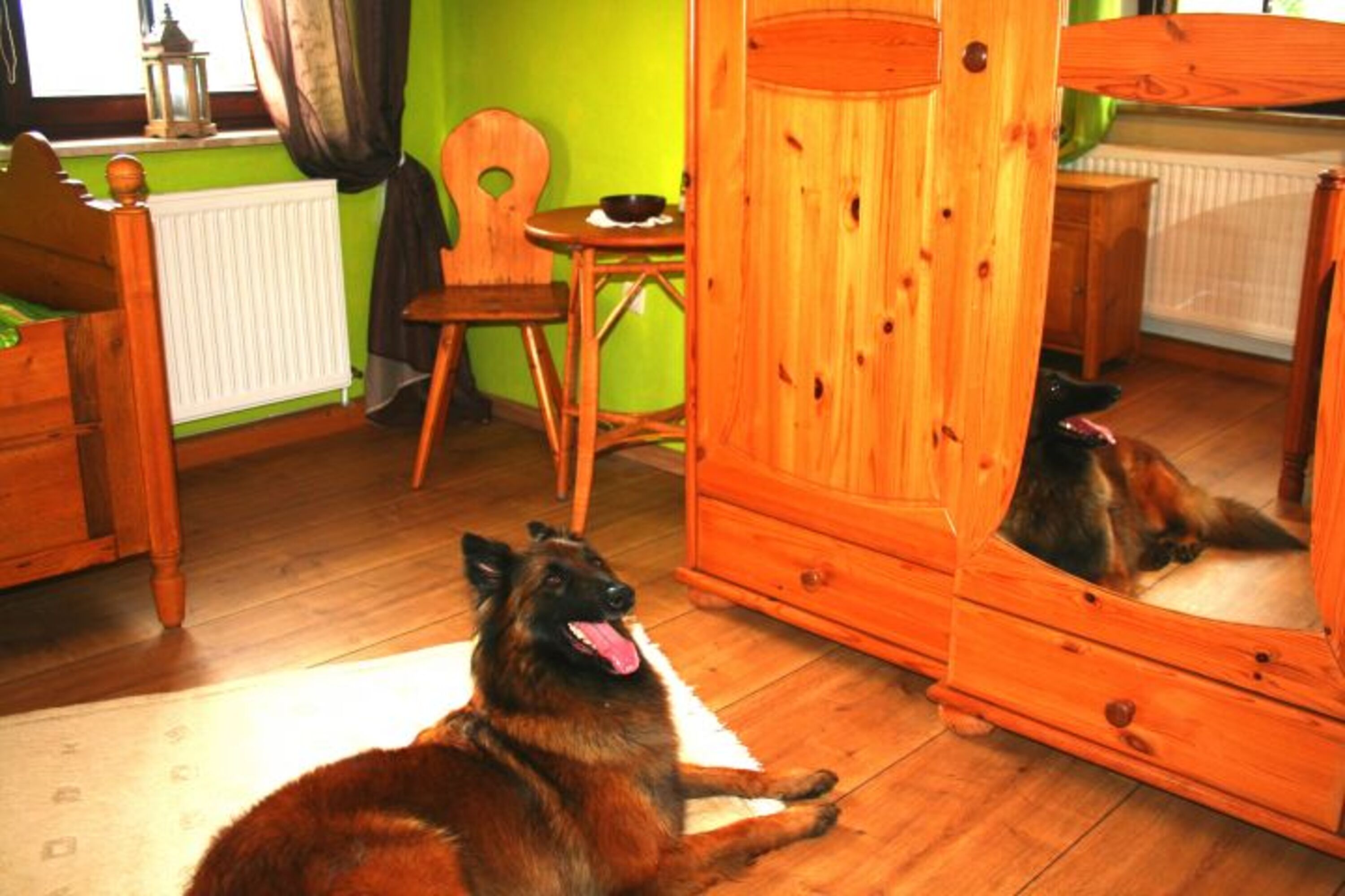 Bild 11