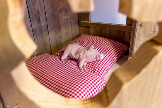 Hier schläft man schön..