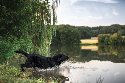Der Billingsbacher See ist in 3 Km fußläufig zu erreichen