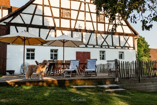 Herzlich willkommen in der Roten Sau