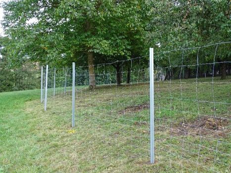 Das Grundstück ist komplett 1,5m eingezäunt