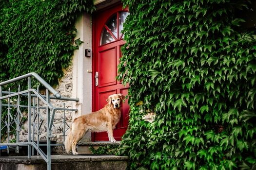 Treten Sie ein und sein Sie unser Gast!