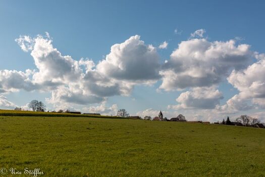 Umgebung - Natur pur!
