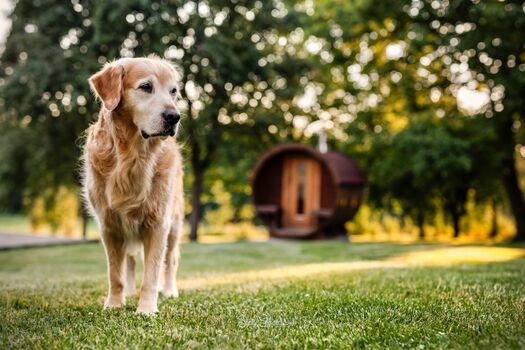 Bauernhaus mit großem umzäunten Garten, Sauna und Kamin
