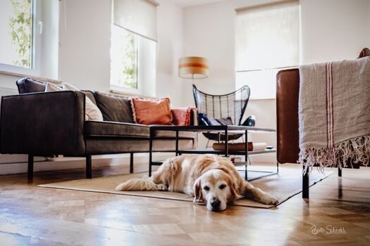 Traumhafter Wohnbereich mit Kamin