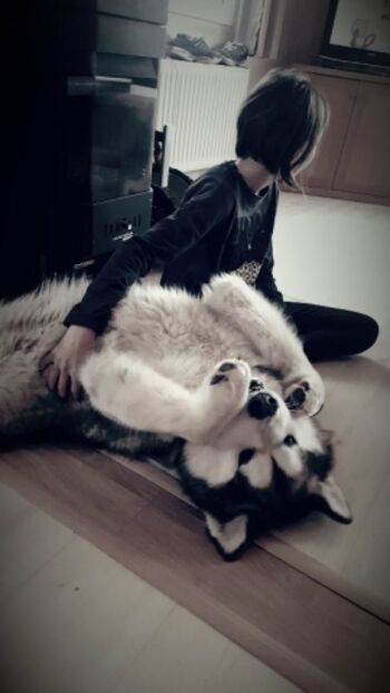 glückliche Zwei- und Vierbeiner