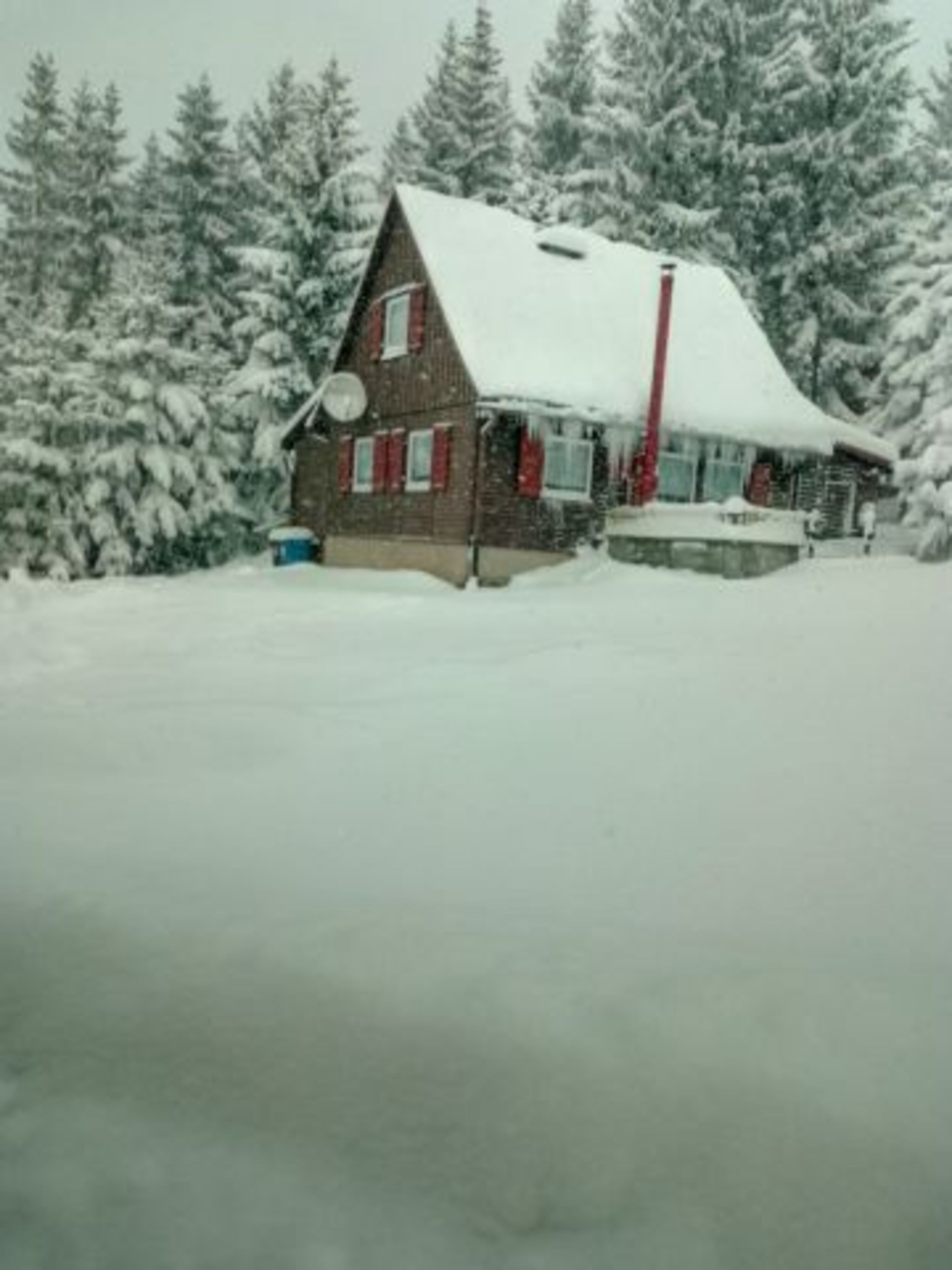 Winter Januar 2017