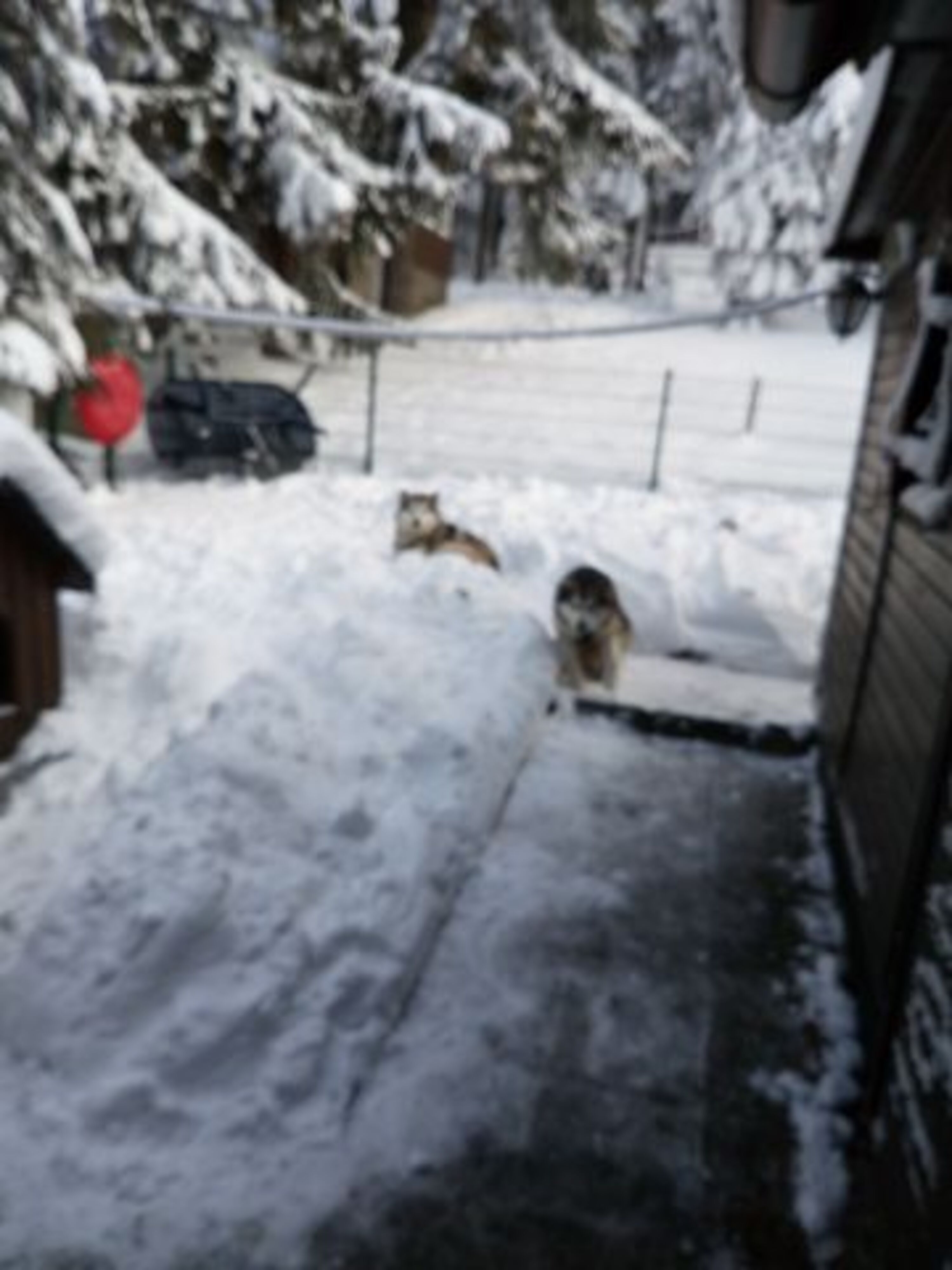 Wann geht es auf die Piste?