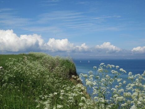 Steilküste Schwedeneck