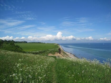 Steilküste Schwedeneck