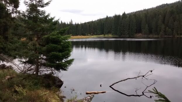Ausflug zum kleinen Arbersee