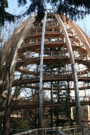 Baumwipfelweg bei Neuschönau