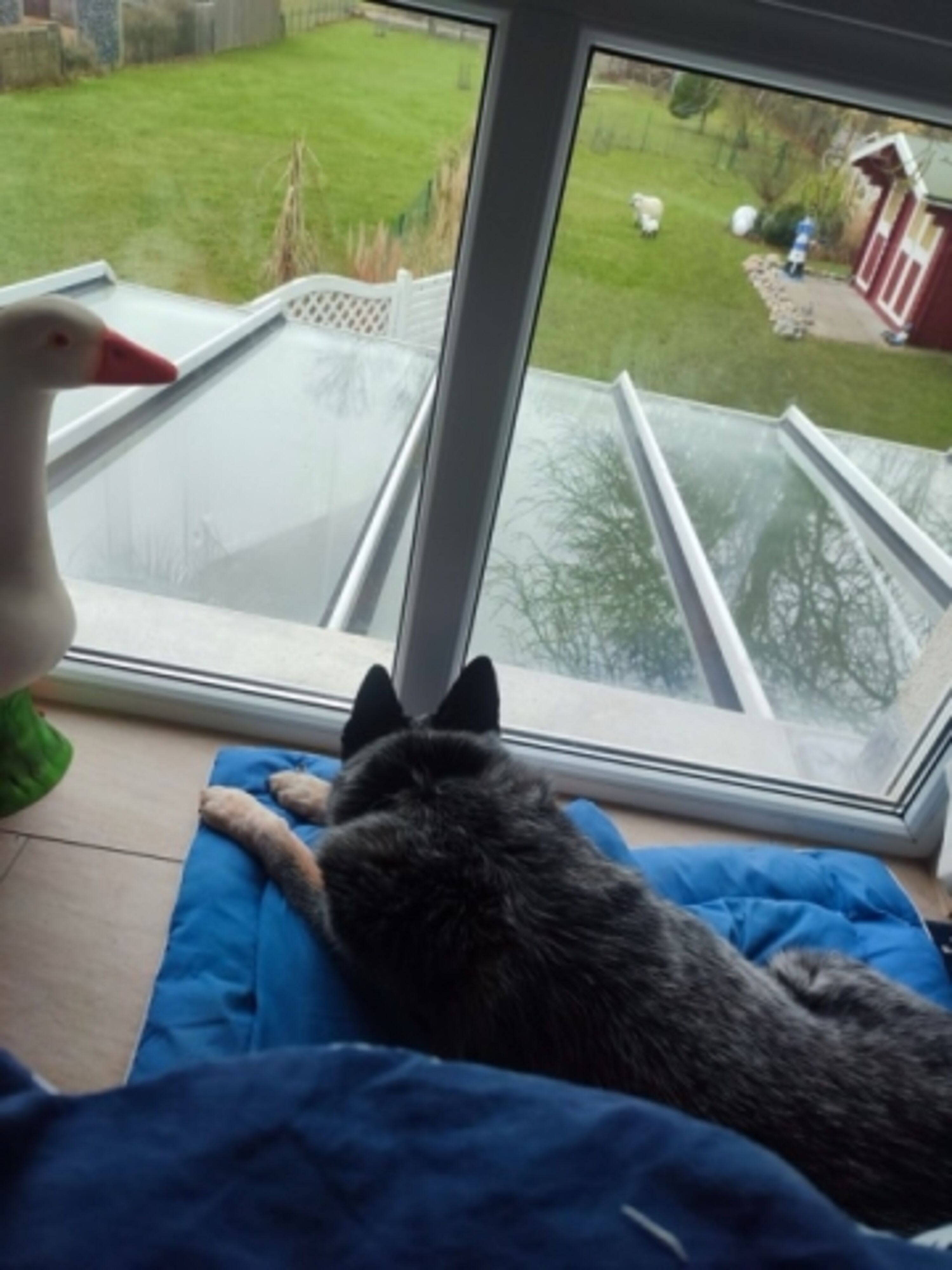 Bild 16
