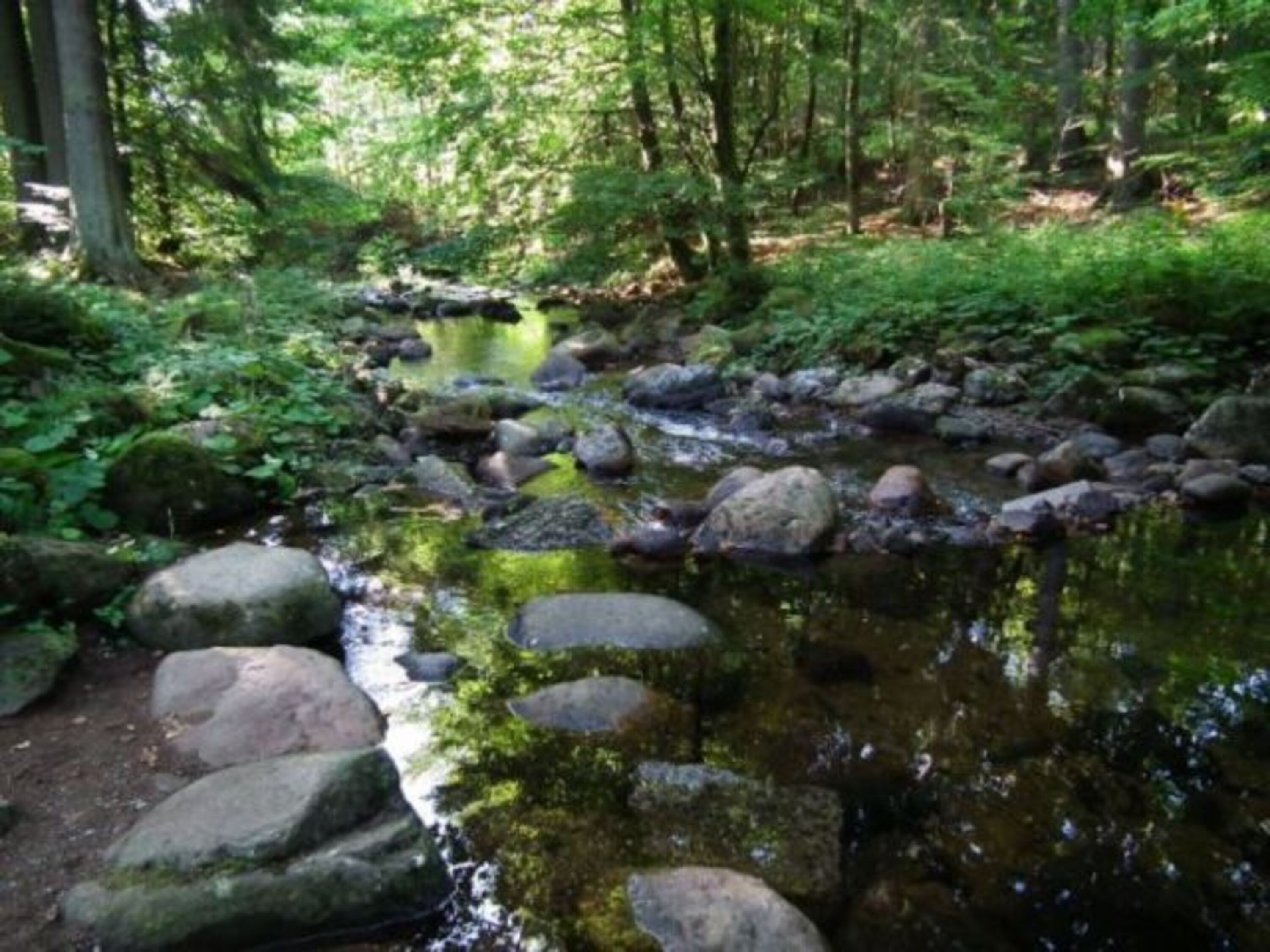 Malerisches Bodetal