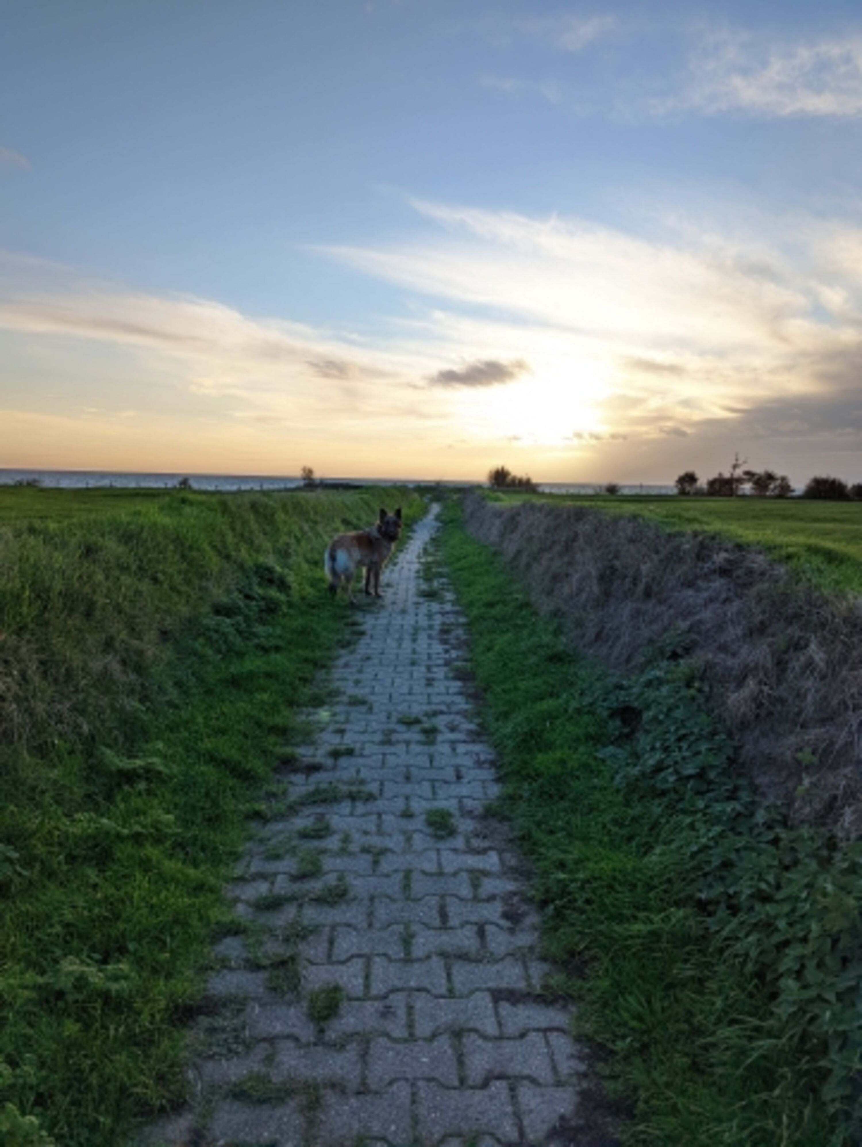Bild 19