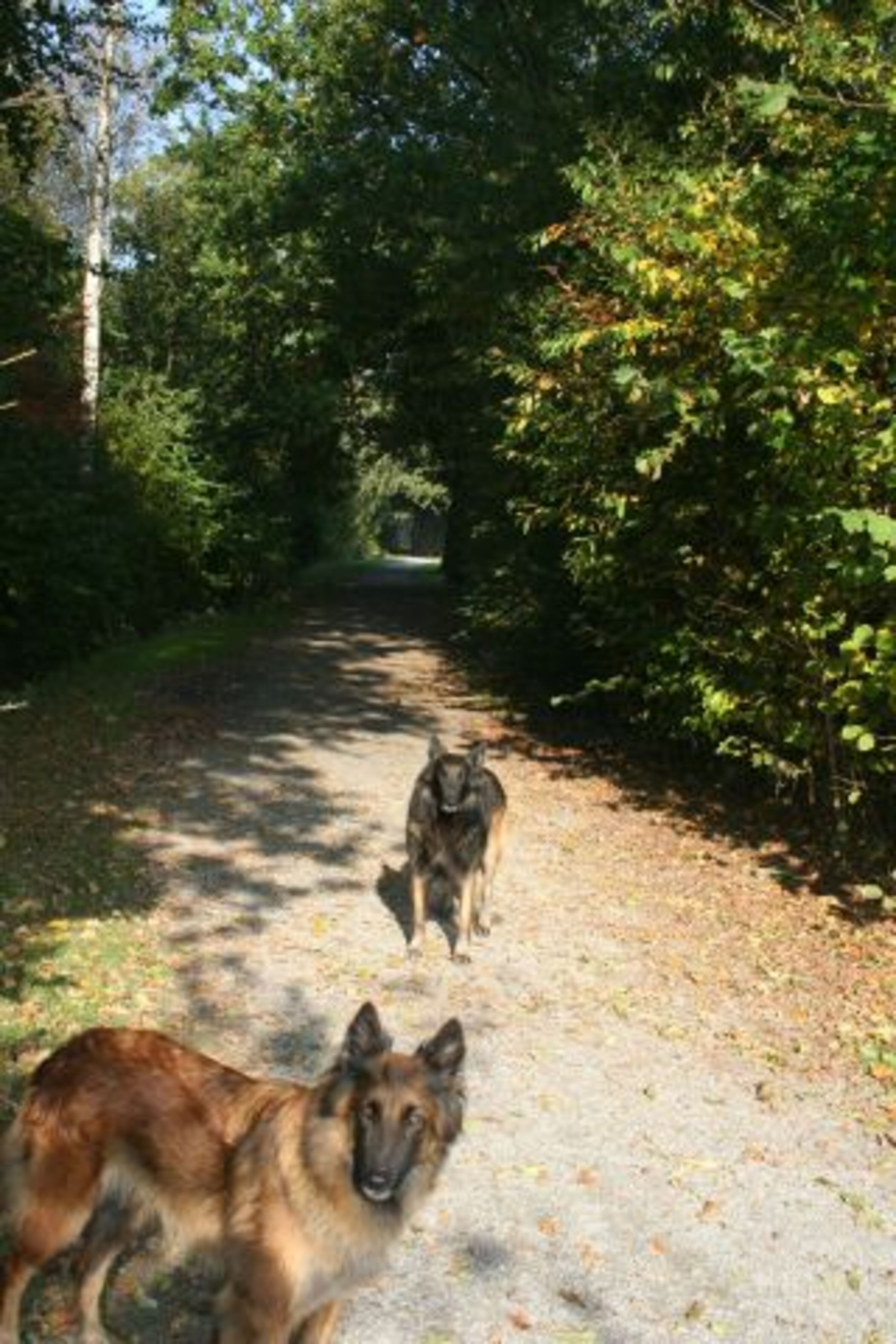 Bild 17