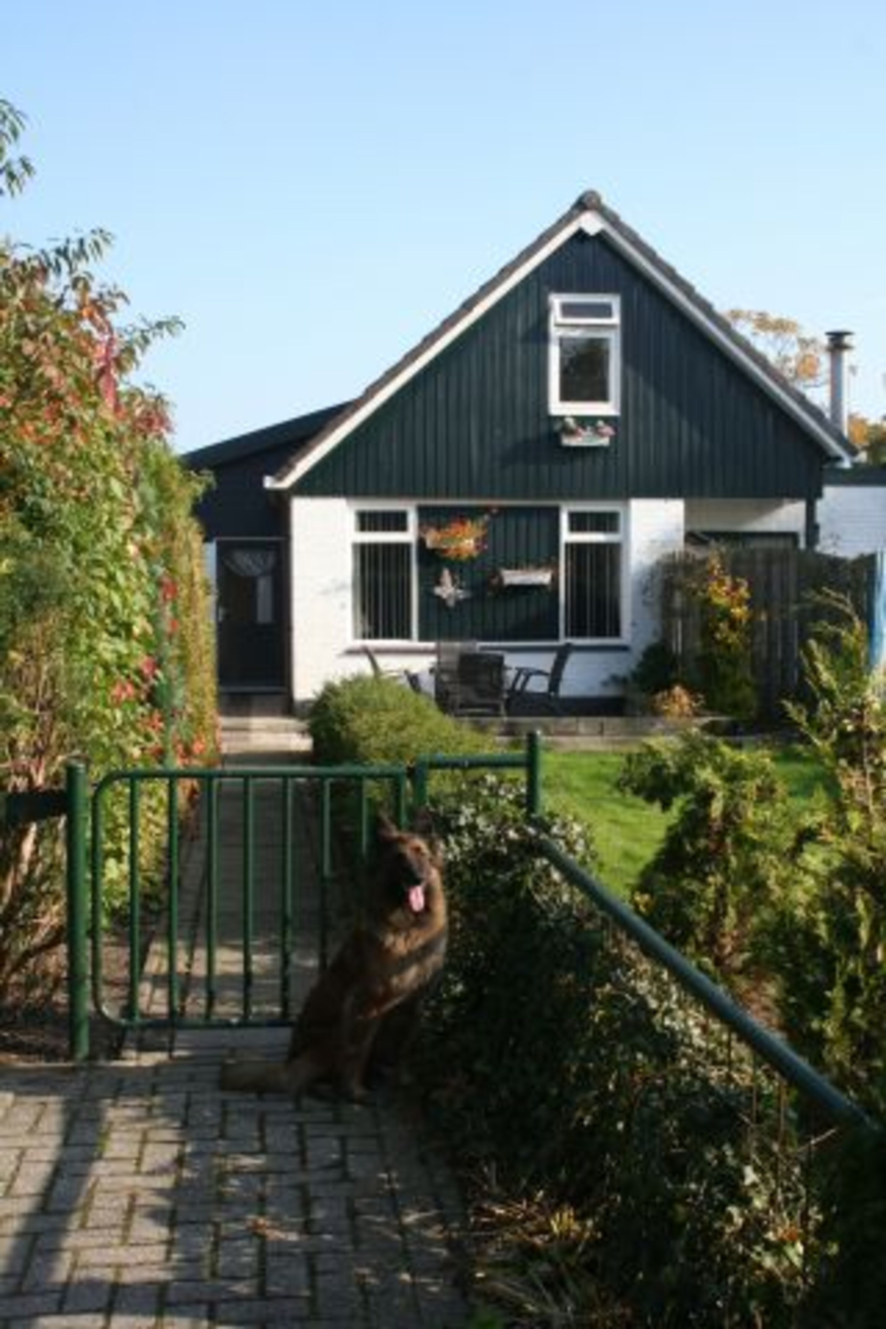 Bild 1