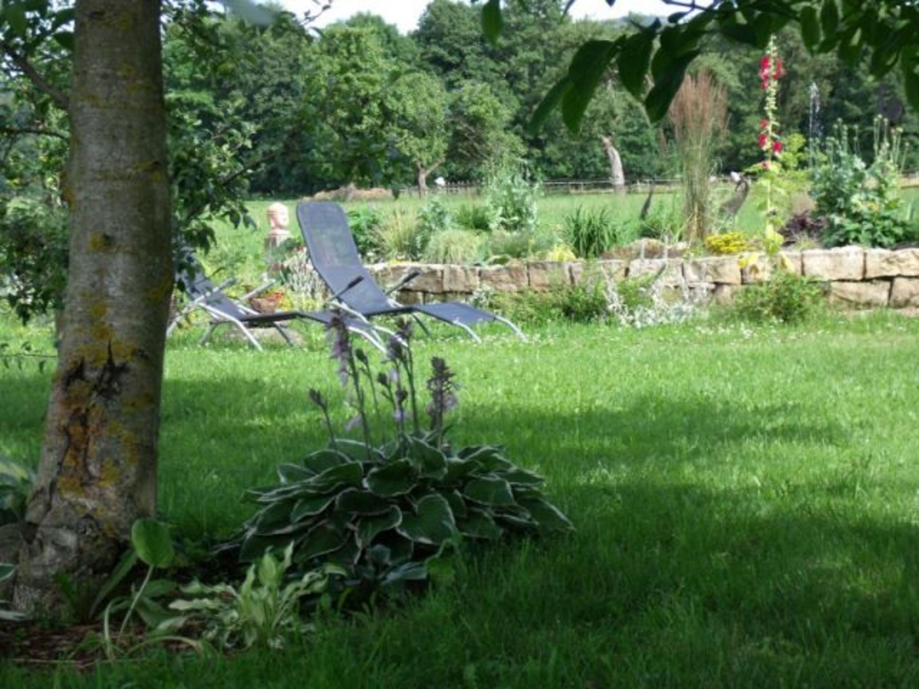 Blick in den Garten 