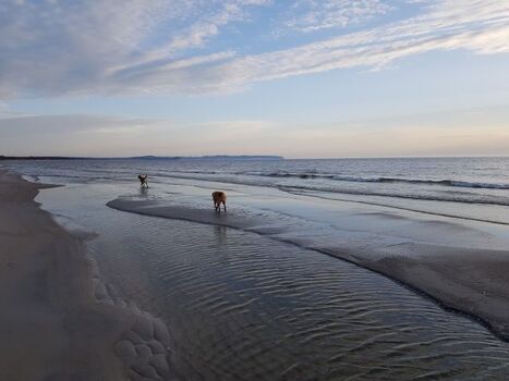 der Hundestrand vor der Dünenvilla