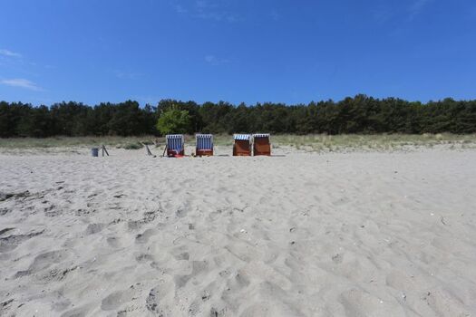 unsere Strandkörbe