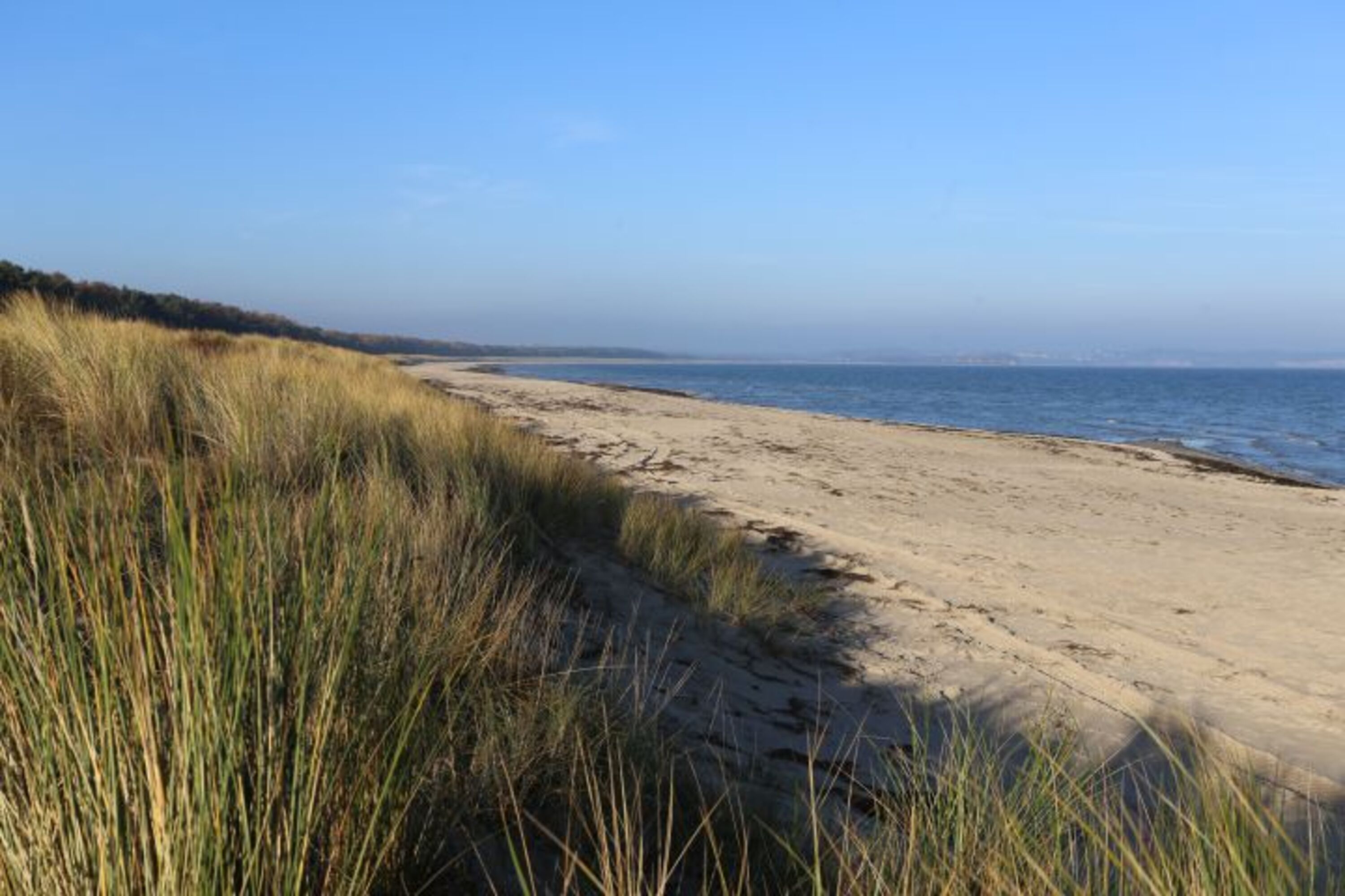 der Hundstrand