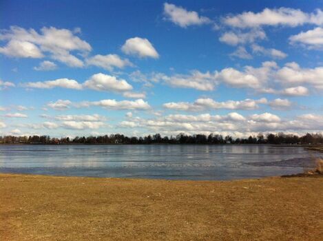 Hundewiese am großen Meer