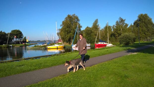 Spaziergang Ute Bluhmki mit Hund Mücke 